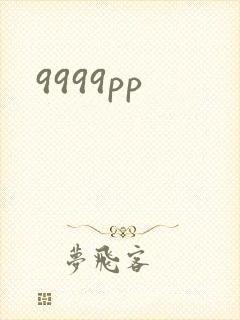 9999pp封面