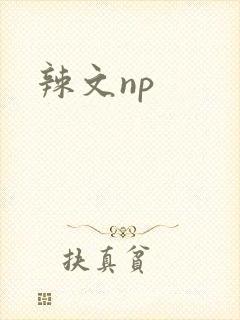 辣文np封面
