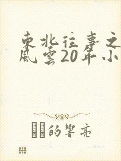 东北往事之黑道风云20年小说