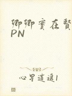 卿卿实在贤良NPN
