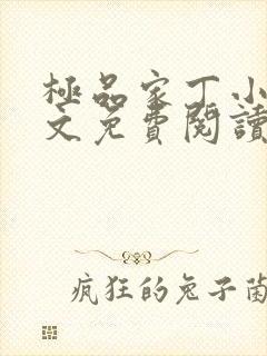极品家丁小说全文免费阅读