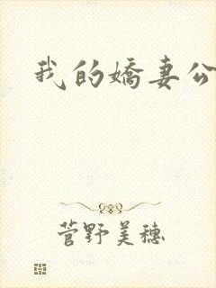 我的娇妻公务员
