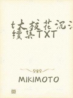 t大校花沉浮录续集TXT