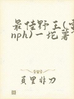 最佳野王(电竞nph)一坨薯饼