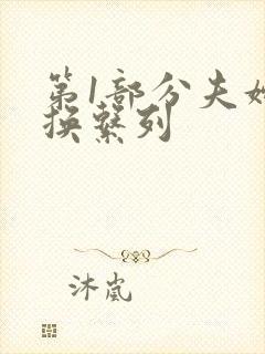 第1部分夫妇交换系列封面