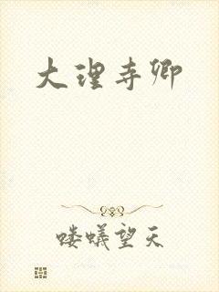 大理寺卿