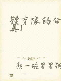 体育队的公用玩具1