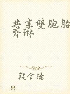 共享双胞胎齐娜齐琳封面