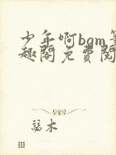 少年啊bgm笔趣阁免费阅读全文下载