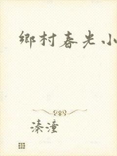 乡村春光小说
