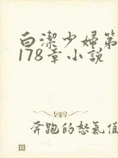 白洁少妇第1一178章小说