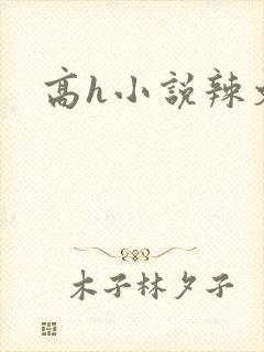 高h小说辣文