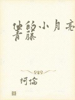 他的小月亮by青藤封面