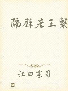 隔壁老王系统封面
