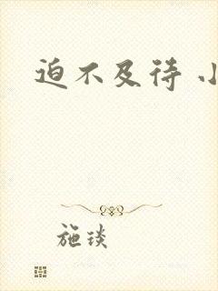 迫不及待 小穴