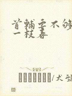 首辅要不够po一枝春封面