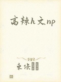 高辣h文np