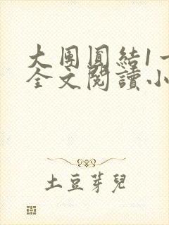 大团圆结1一6全文阅读小说