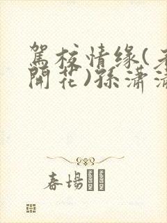 驾校情缘(老树开花)孙潇潇第一次趣笔阁