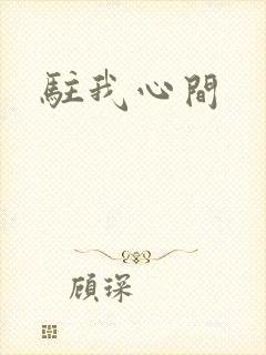 驻我心间封面