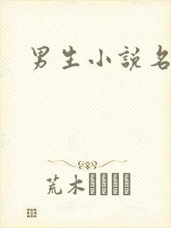 男生小说名字
