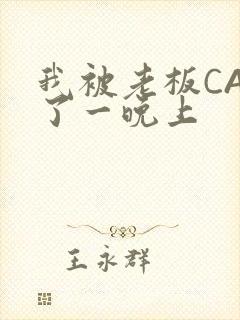 我被老板CAO了一晚上