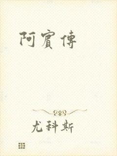 阿宾传