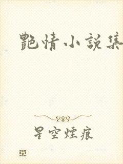 艳情小说集封面