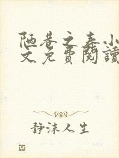 陋巷之春小说全文免费阅读封面