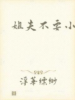 姐夫不要小说
