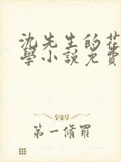 沈先生的花式教学小说免费封面