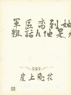 军区脔到她哭h粗话h他是疯批