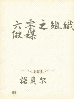 六零之组织给我做媒