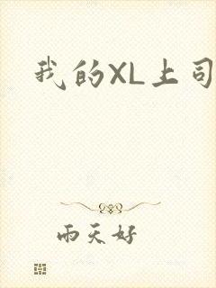 我的XL上司封面