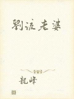 刘流老婆