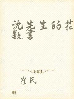 沈先生的花式调数书封面