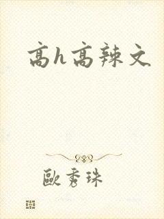 高h高辣文封面