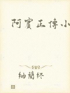 阿宾正传小说