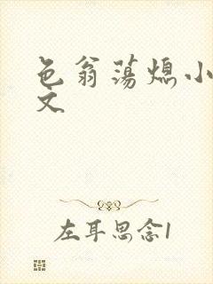 色翁荡熄小说全文封面