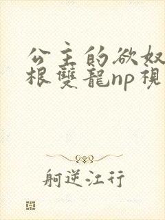 公主的欲奴h四根双龙np视频