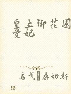 皇上御花园中要爱妃封面