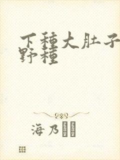 下种大肚子怀孕野种