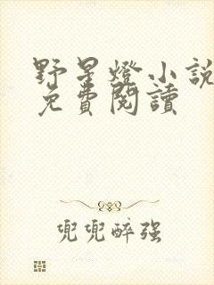 野星灯小说全文免费阅读