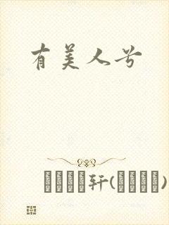 有美人兮封面