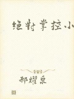 绝对掌控小说