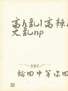 高h乱l高辣h文乱np