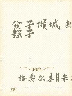 公子倾城 维和粽子