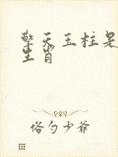 擎天玉柱是什么生肖