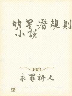 明星潜规则之皇 小说