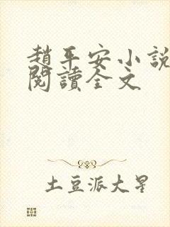 赵平安小说免费阅读全文封面